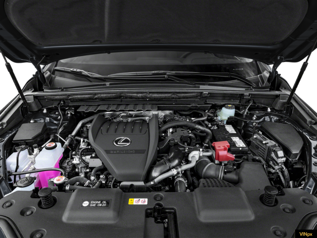 2024 Lexus NX 350 350 Base