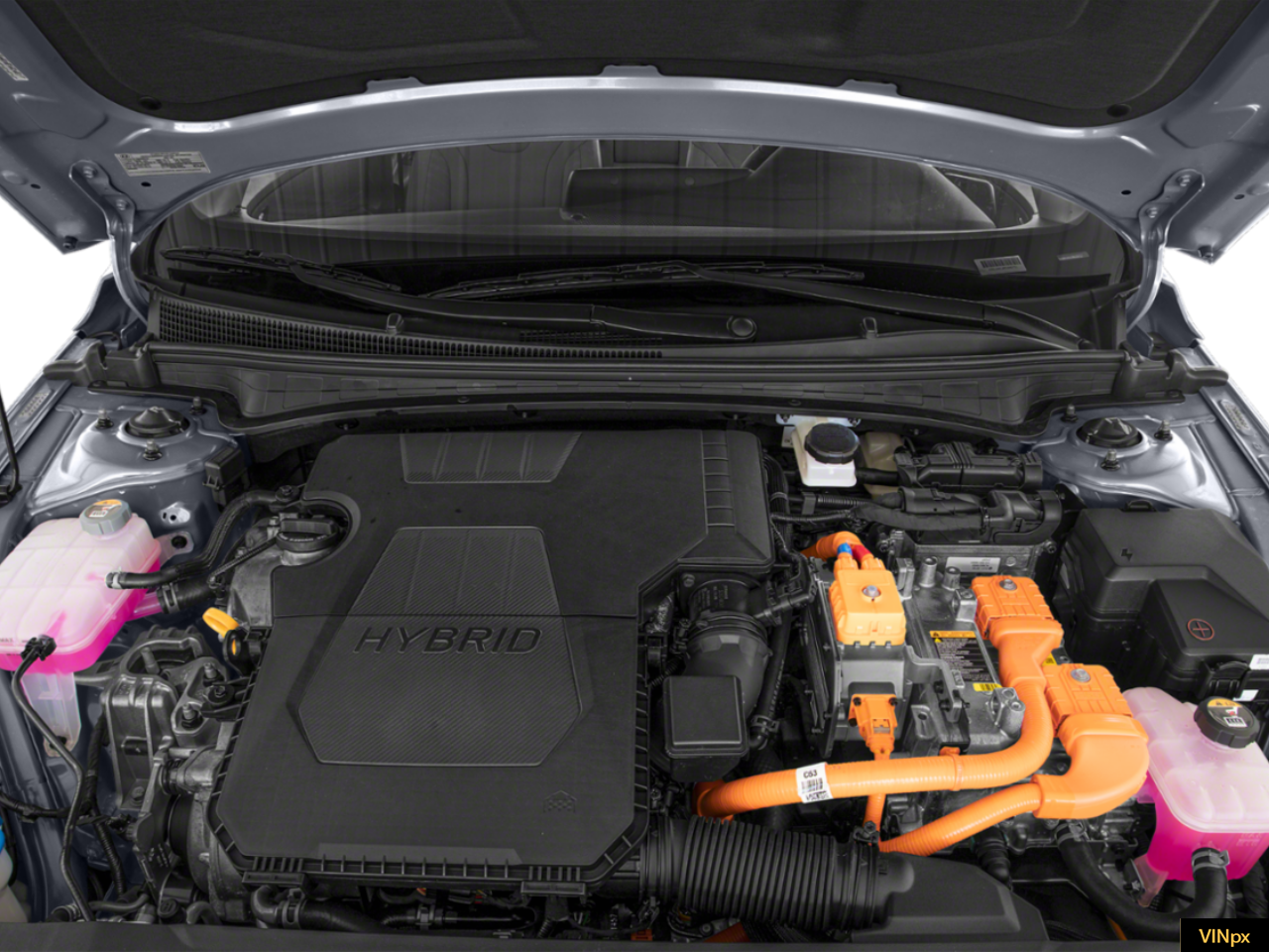 2023 Hyundai Elantra Limited - Photo 10