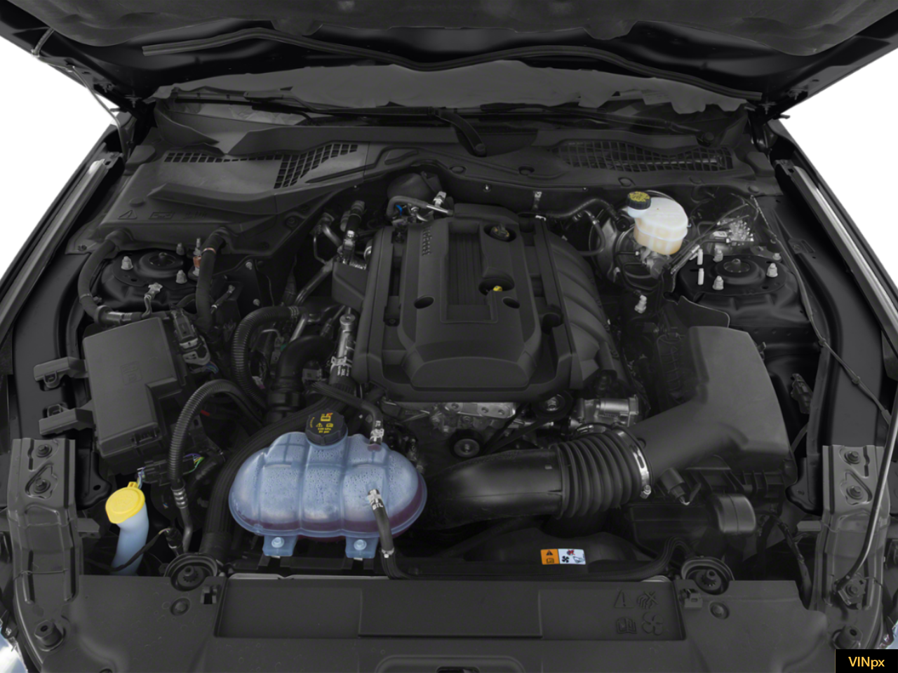 2020 Ford Mustang EcoBoost Fastback
