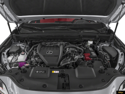 2023 Lexus NX 350 Premium