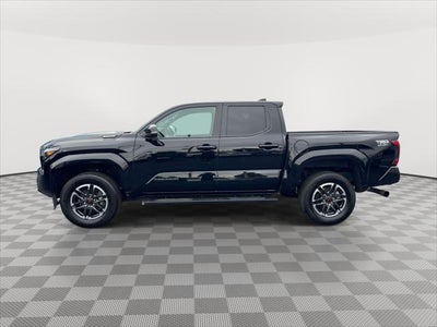 2024 Toyota Tacoma 4WD TRD Sport Hybrid